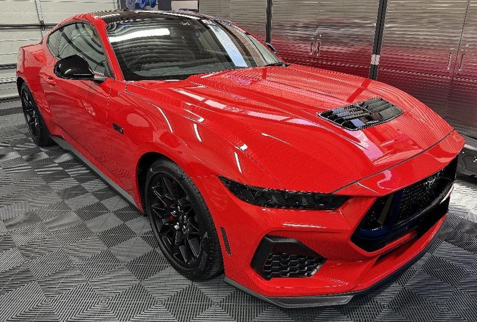 ARMOUR Detail Supply AMPLIFY - Detail Spray-Quick Detailer-ARMOUR Detail Supply-Detailing Shed